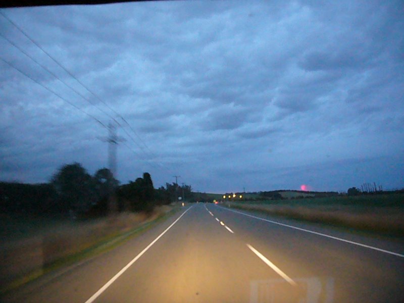 Travel - New Zealand - North To Wairoa Gorge